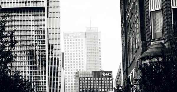 大数据判断数据变化趋势（大数据判断数据变化趋势分析）