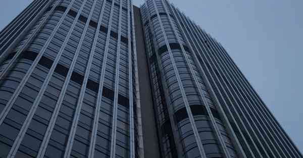 外国语单招大数据的行业文章