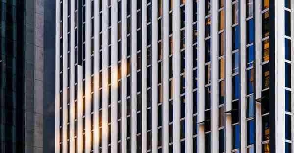 2019智能机器人伴侣