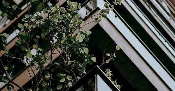 物流大数据复习