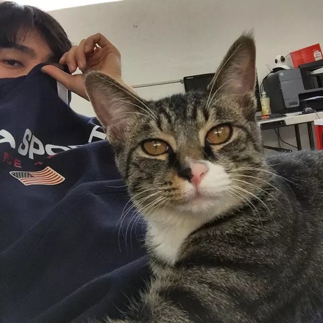 党洁斌宁