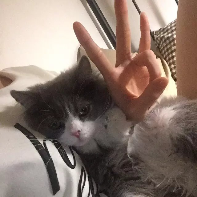 樊剑媛红