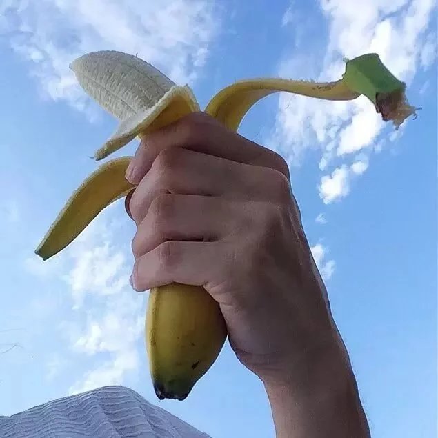 鲁洋行宜