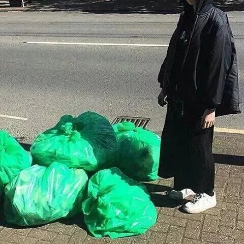 杜宁珠燕